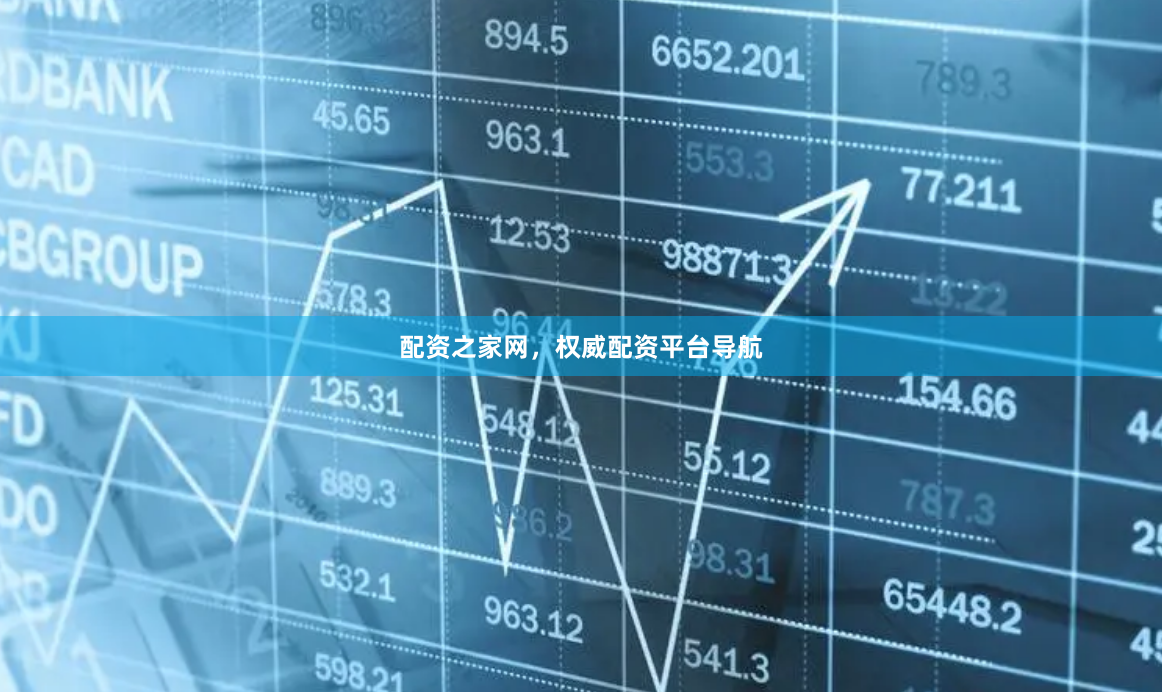 配资之家网，权威配资平台导航